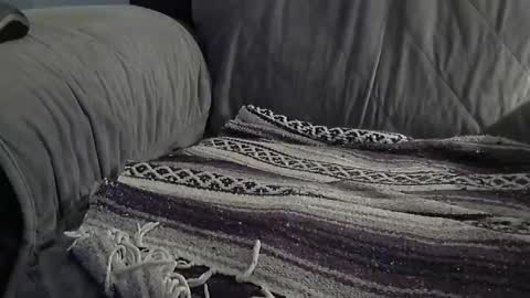 1badboy360 online show from 9, 12, 2024