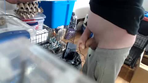 Snapshot of allwolf0323 chatting on 14, 4, 2026 allwolf0323 online show from 14, 4, 2026