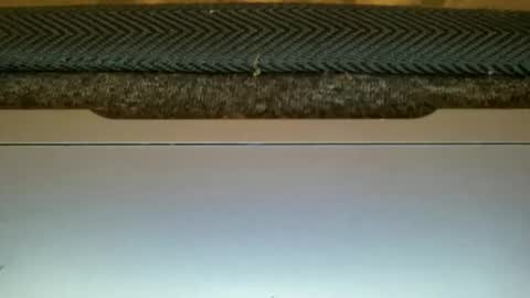 Snapshot of amormio69 chatting on 11, 2, 2026 23cm4you online show from 11, 2, 2026