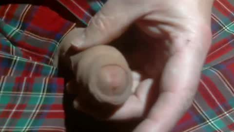  Reservoir Dogs online show from 2, 3, 2026