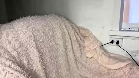 Snapshot of bohemia777 chatting on 7, 4, 2026 bohemia777 online show from 7, 4, 2026