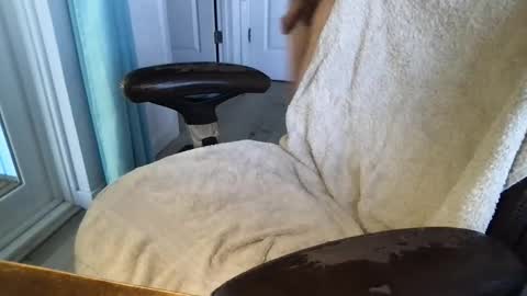 Snapshot of cals16 chatting on 18, 3, 2026 cals16 online show from 18, 3, 2026