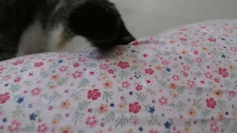 Snapshot of cristiyna36 chatting on 25, 3, 2026 cristiyna36 online show from 25, 3, 2026