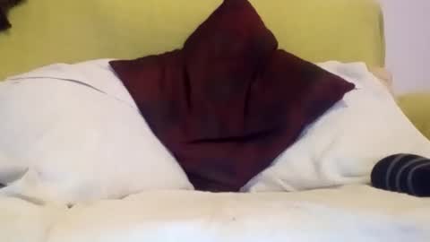 daniroca8 online show from 17, 2, 2026