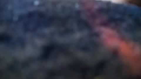 dannowisc online show from 20, 2, 2026