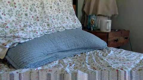 Snapshot of elviscash chatting on 9, 4, 2026 elviscash online show from 9, 4, 2026