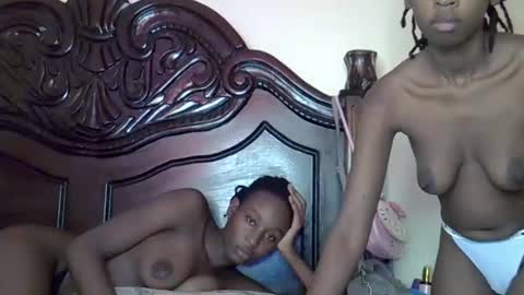 lutino_lovebirds online show from 19, 3, 2026