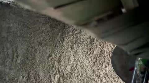 Snapshot of melodysnow chatting on 9, 1, 2026 melodysnow online show from 9, 1, 2026