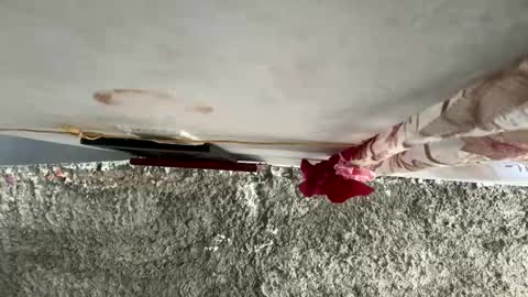 Snapshot of melodysnow chatting on 10, 1, 2026 melodysnow online show from 10, 1, 2026