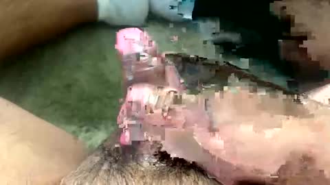 Toro loco online show from 26, 3, 2026