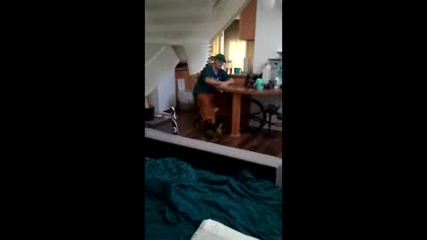 salis1981 online show from 17, 3, 2026