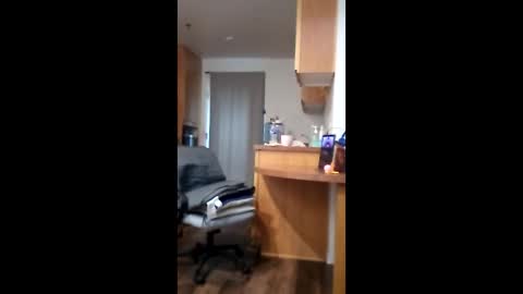 salis1981 online show from 16, 4, 2026