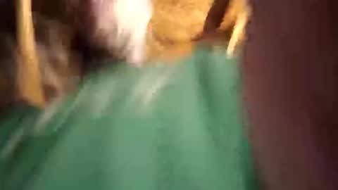 Snapshot of sexy_richy chatting on 12, 4, 2026 RICHY online show from 12, 4, 2026