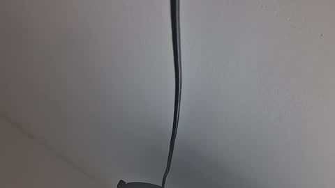 tiko392 online show from 10, 4, 2026