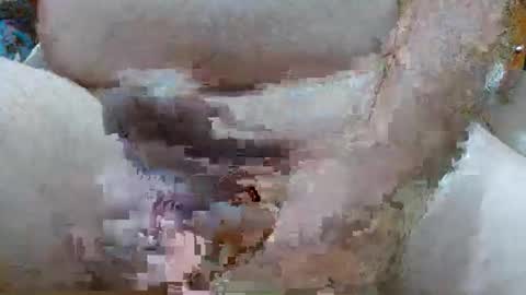 Snapshot of troy1965 chatting on 23, 2, 2026 troy1965 online show from 23, 2, 2026