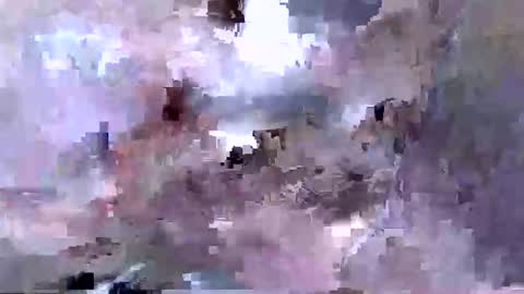 Snapshot of troy1965 chatting on 12, 4, 2026 troy1965 online show from 12, 4, 2026