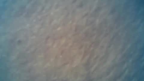 wildman6 online show from 15, 2, 2025