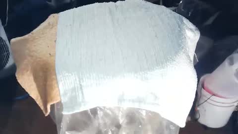 wildman6 online show from 17, 11, 2025