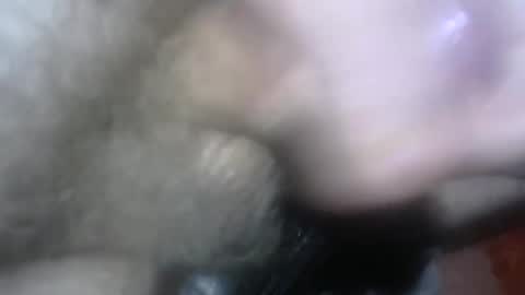 willcam22 online show from 15, 4, 2026