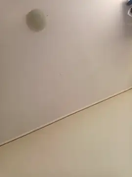 Snapshot of zafka_9 chatting on 8, 4, 2026 zafka 9 online show from 8, 4, 2026