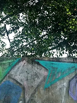 Snapshot of IgoramorimGG chatting on 4, 4, 2026 IgoramorimGG online show from 4, 4, 2026