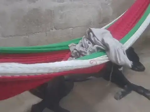 Snapshot of tripexnte chatting on 16, 2, 2025 tripexnte online show from 16, 2, 2025