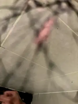 lescro95  online show from 2, 12, 2025