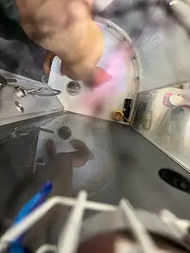 lescro95  online show from 6, 4, 2026