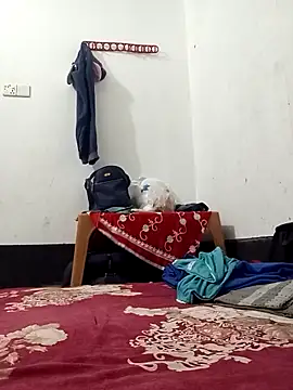 HenaAra online show from 19, 3, 2026