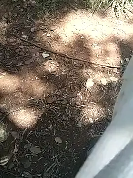 Snapshot of mehdi-l7away chatting on 16, 4, 2026 mehdi-l7away online show from 16, 4, 2026