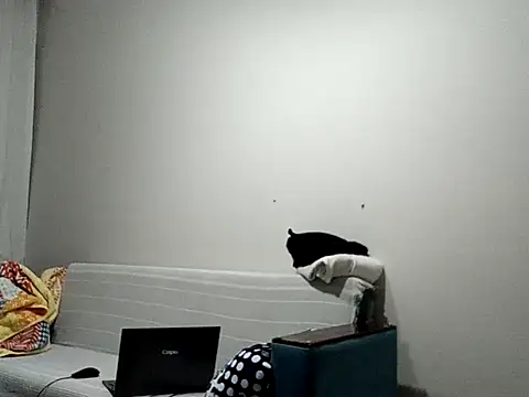 BellBort online show from 3, 3, 2026