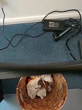 MyDick4You666 online show from 5, 3, 2026