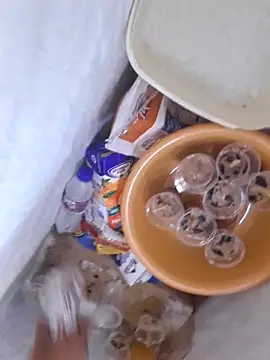 GRUESO-CURVO online show from 14, 4, 2026