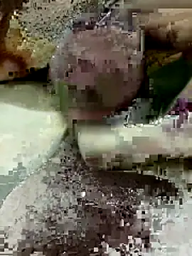 Zepe 12 online show from 22, 3, 2026