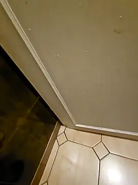 Stingles online show from 24, 3, 2026