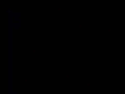 Curious9884 online show from 2, 3, 2026