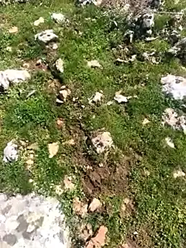 Sert erkek21 ysm online show from 24, 3, 2026