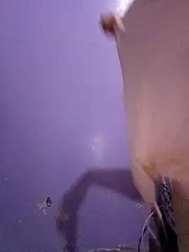 ArabianRose  online show from 10, 3, 2026