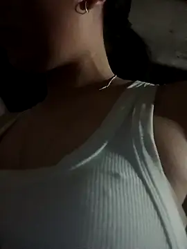 Snapshot of vesla-2k chatting on 11, 4, 2026 vesla-2k online show from 11, 4, 2026