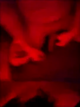 fabioveirolia online show from 28, 3, 2026