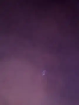 comedos online show from 7, 3, 2026