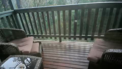 Intenseduo online show from 14, 11, 2025