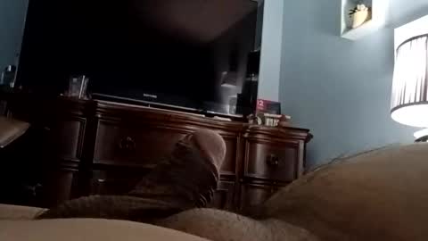 12345marihtc online show from 24, 11, 2025