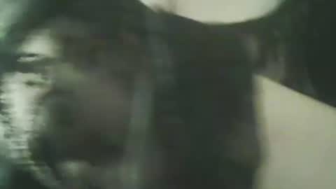 Deluxepussy online show from 13, 11, 2025