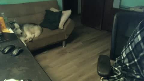 1handyanddee online show from 30, 11, 2025