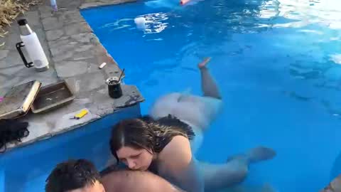 2littlefox online show from 1, 2, 2025