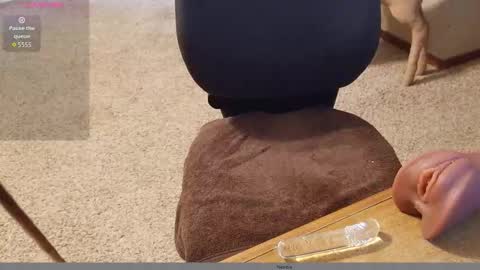 Snapshot of 2tiredoftoys chatting on 15, 11, 2025 2tiredoftoys online show from 15, 11, 2025