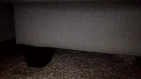 30nick online show from 2, 2, 2026