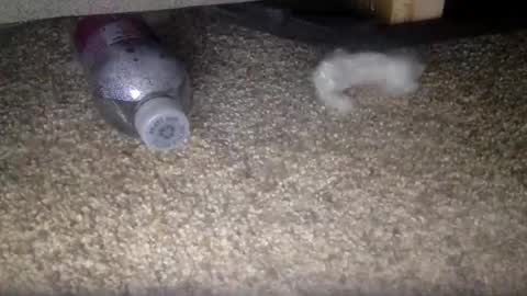 Snapshot of 30nick chatting on 10, 2, 2026 30nick online show from 10, 2, 2026