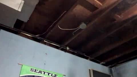 33adidas online show from 9, 11, 2025